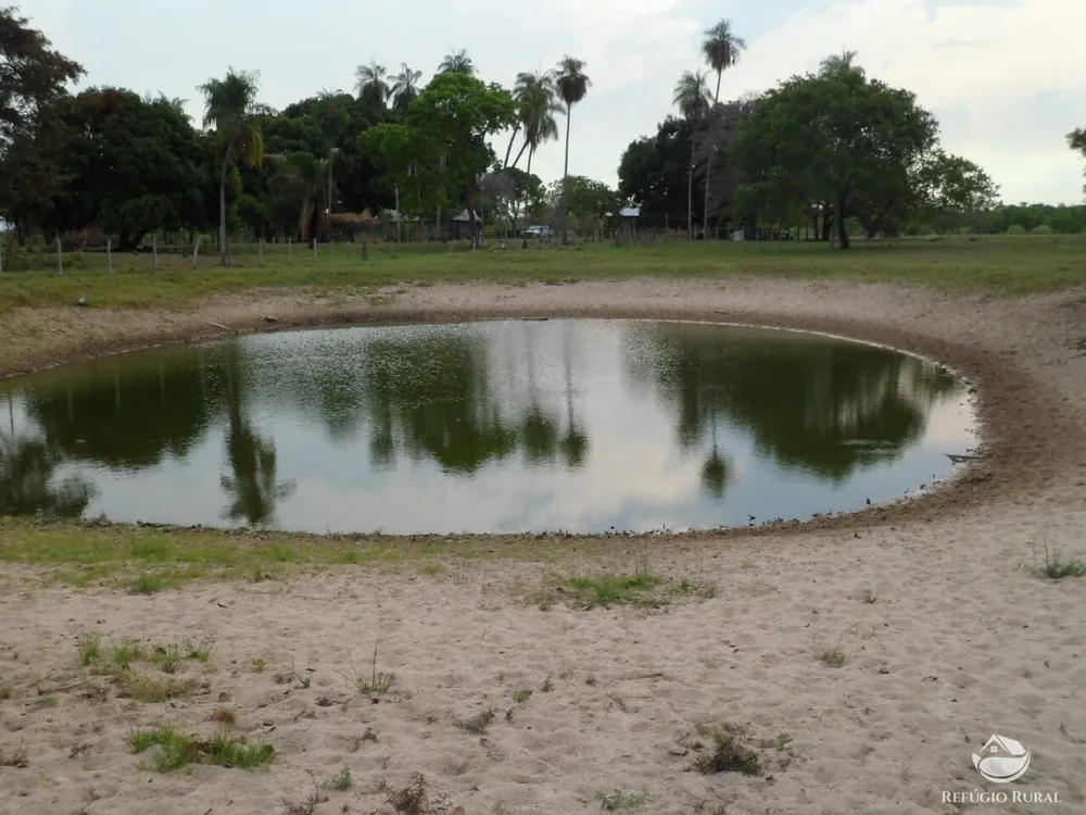 Fazenda, 955 hectares - Foto 14