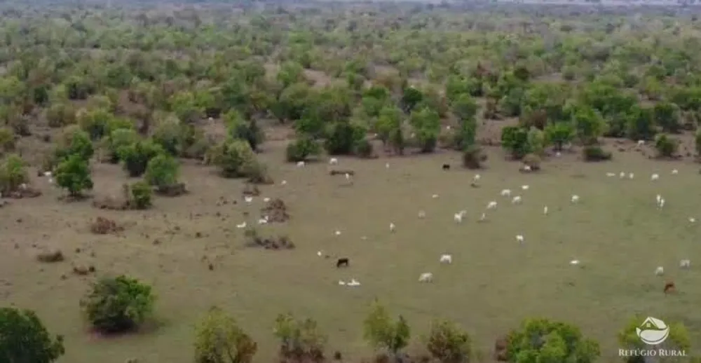 Fazenda, 955 hectares - Foto 1