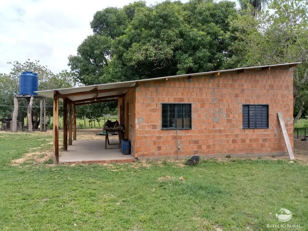 Fazenda, 955 hectares - Foto 5