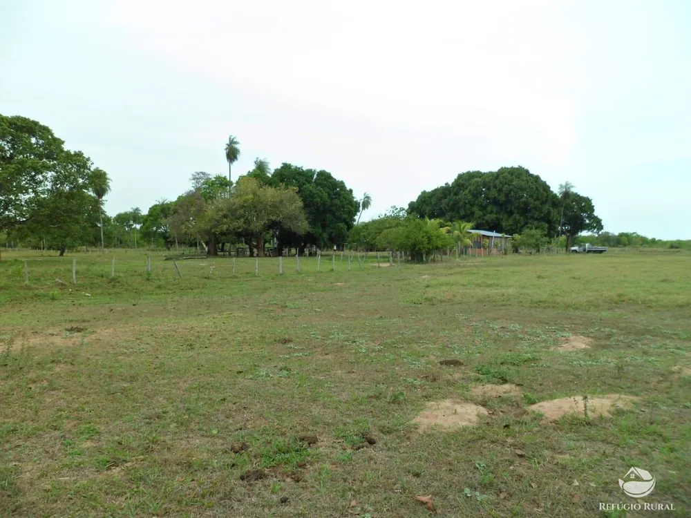 Fazenda, 955 hectares - Foto 12