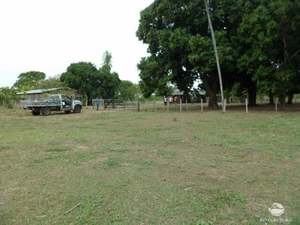 Fazenda, 955 hectares - Foto 7