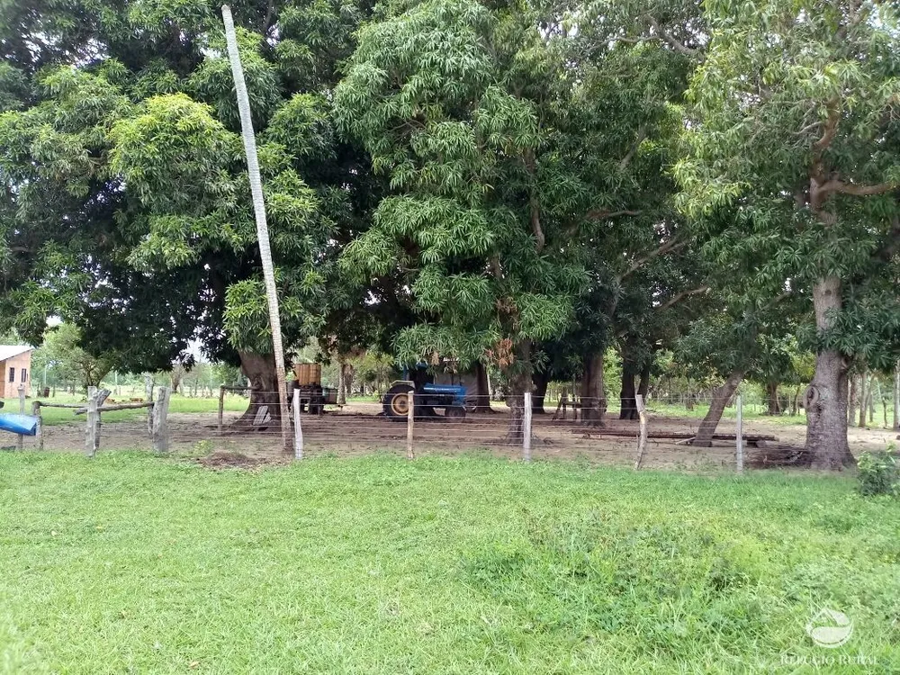 Fazenda, 955 hectares - Foto 4