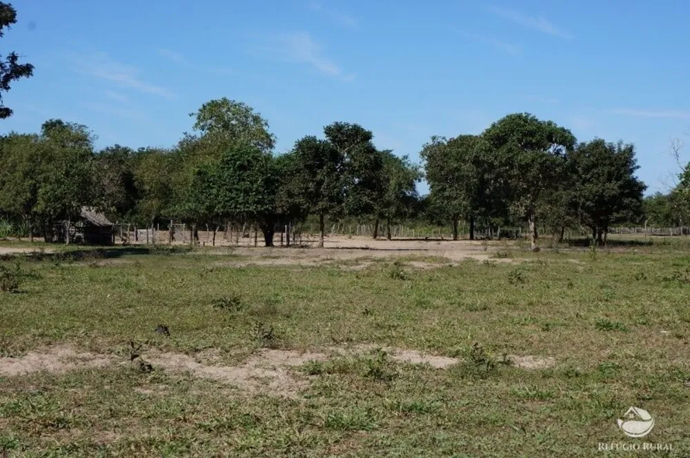 Fazenda, 955 hectares - Foto 10