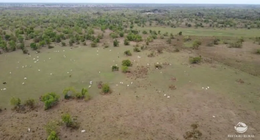 Fazenda, 955 hectares - Foto 8