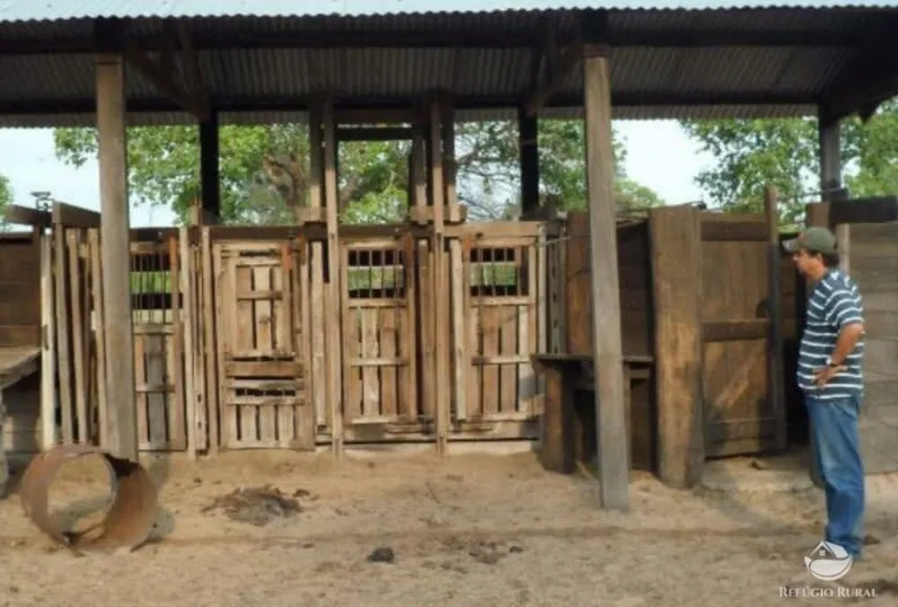 Fazenda, 955 hectares - Foto 13