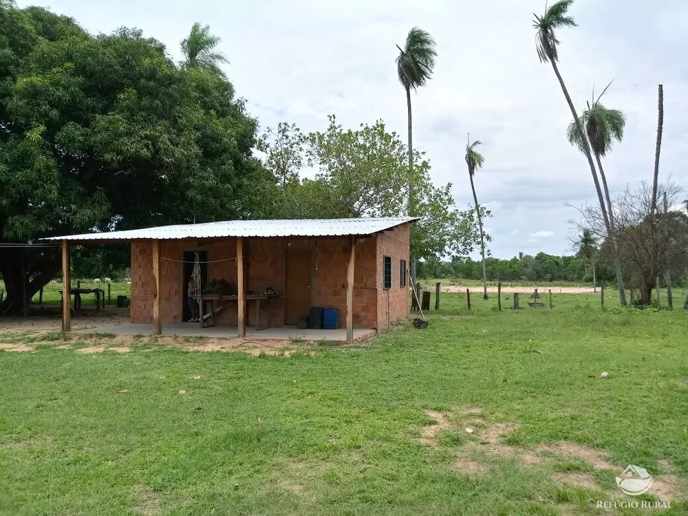 Fazenda, 955 hectares - Foto 15