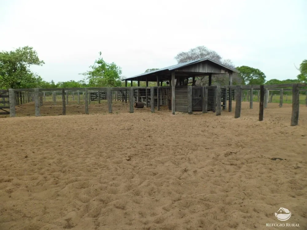 Fazenda, 955 hectares - Foto 9