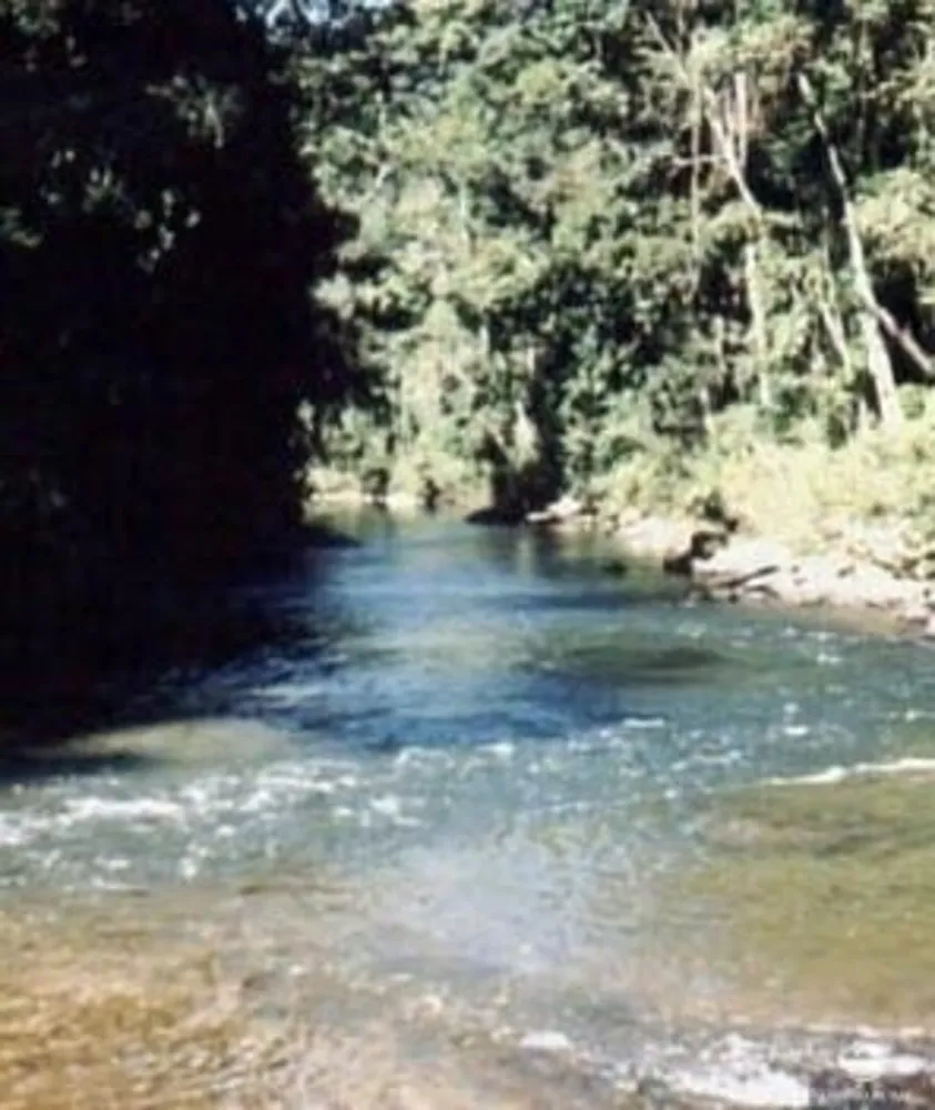 Fazenda, 808298 hectares - Foto 3