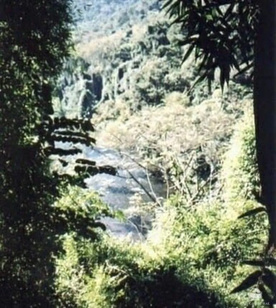 Fazenda, 808298 hectares - Foto 2