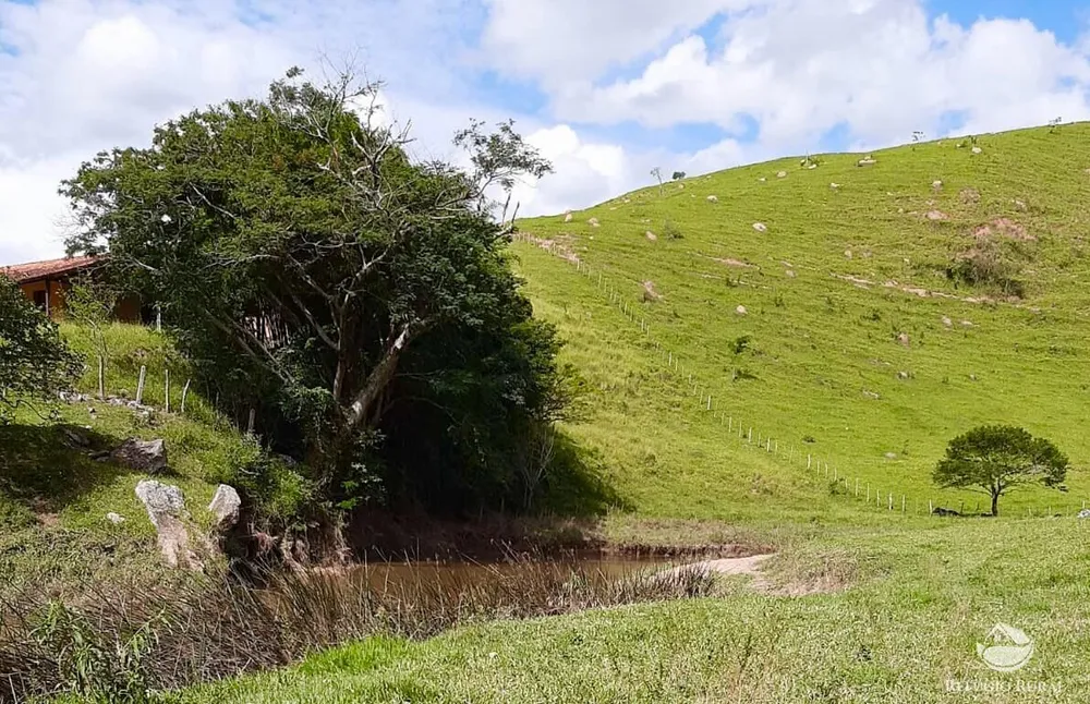 Fazenda, 150 hectares - Foto 10