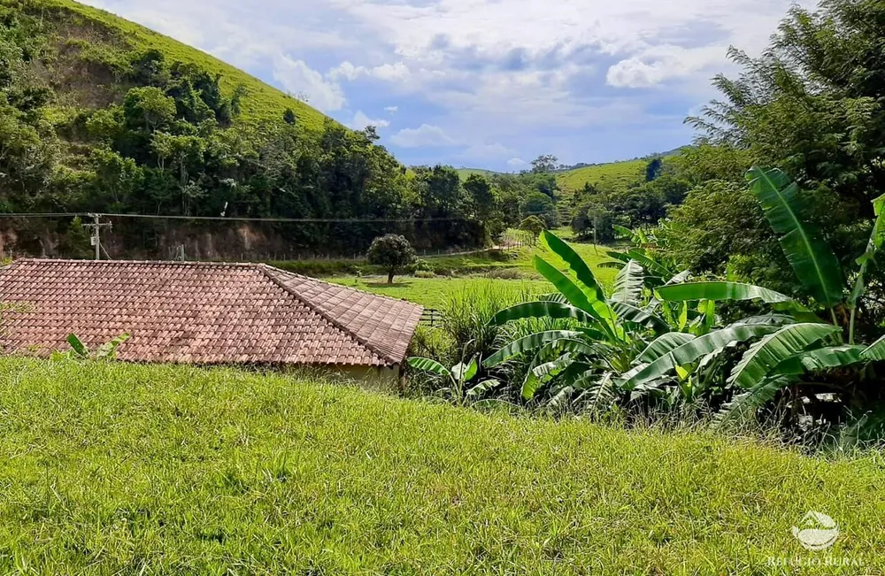 Fazenda, 150 hectares - Foto 13