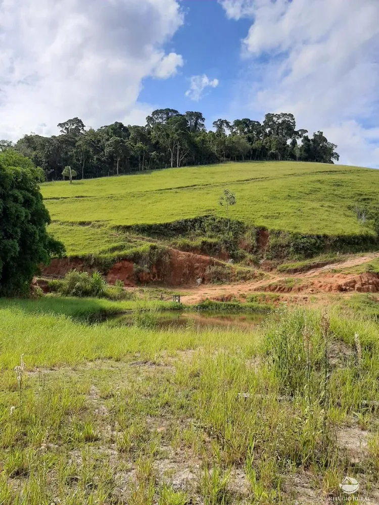 Fazenda, 150 hectares - Foto 9