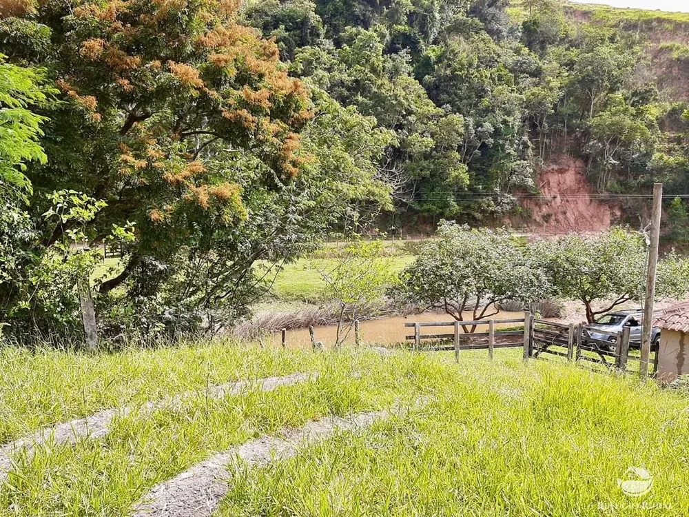 Fazenda, 150 hectares - Foto 15