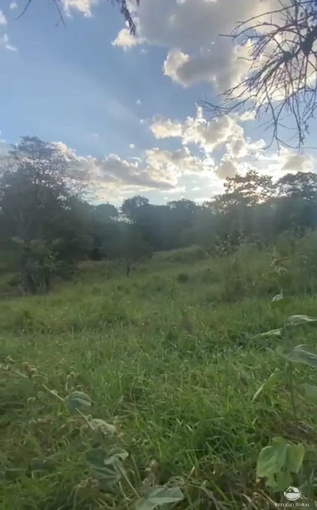 Fazenda, 363 hectares - Foto 6