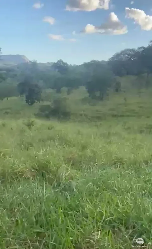 Fazenda, 363 hectares - Foto 4