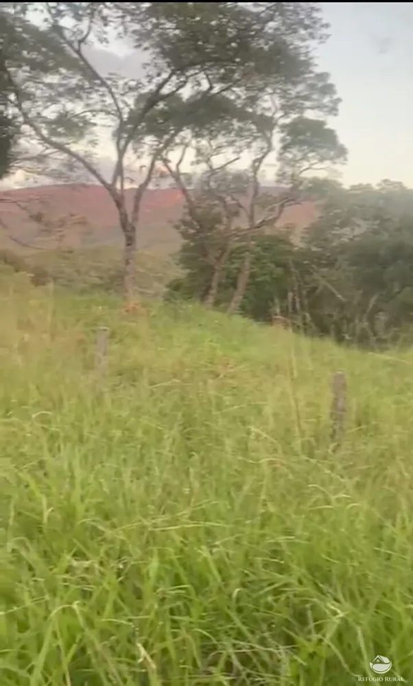 Fazenda, 363 hectares - Foto 2