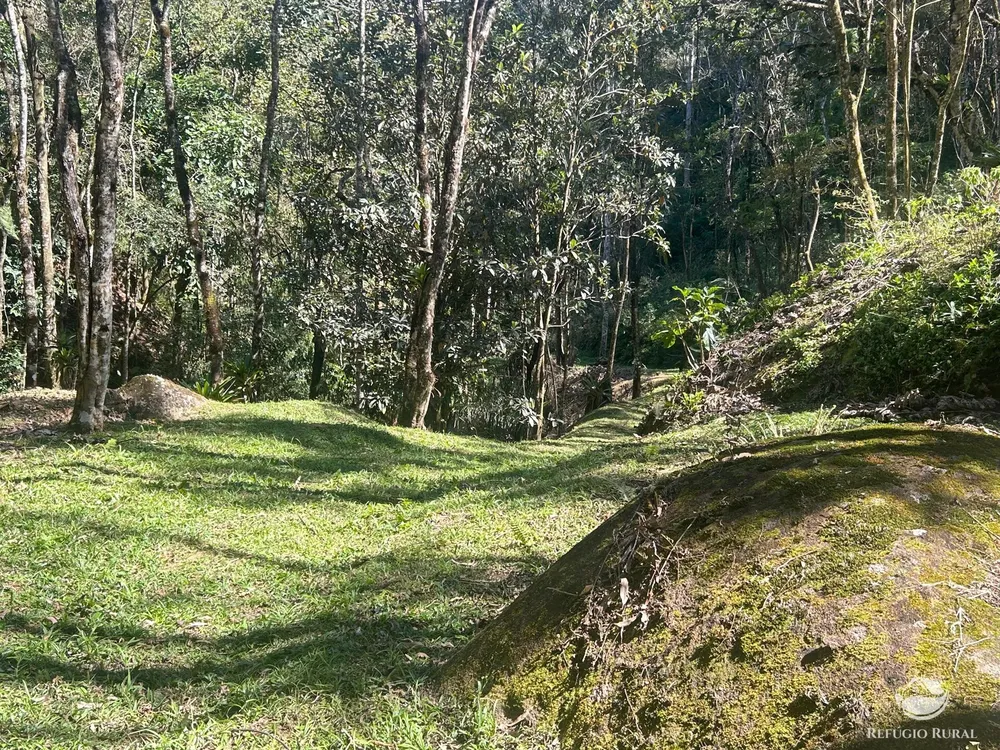 Sítio, 3 hectares - Foto 10