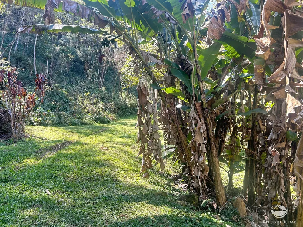 Sítio, 3 hectares - Foto 6