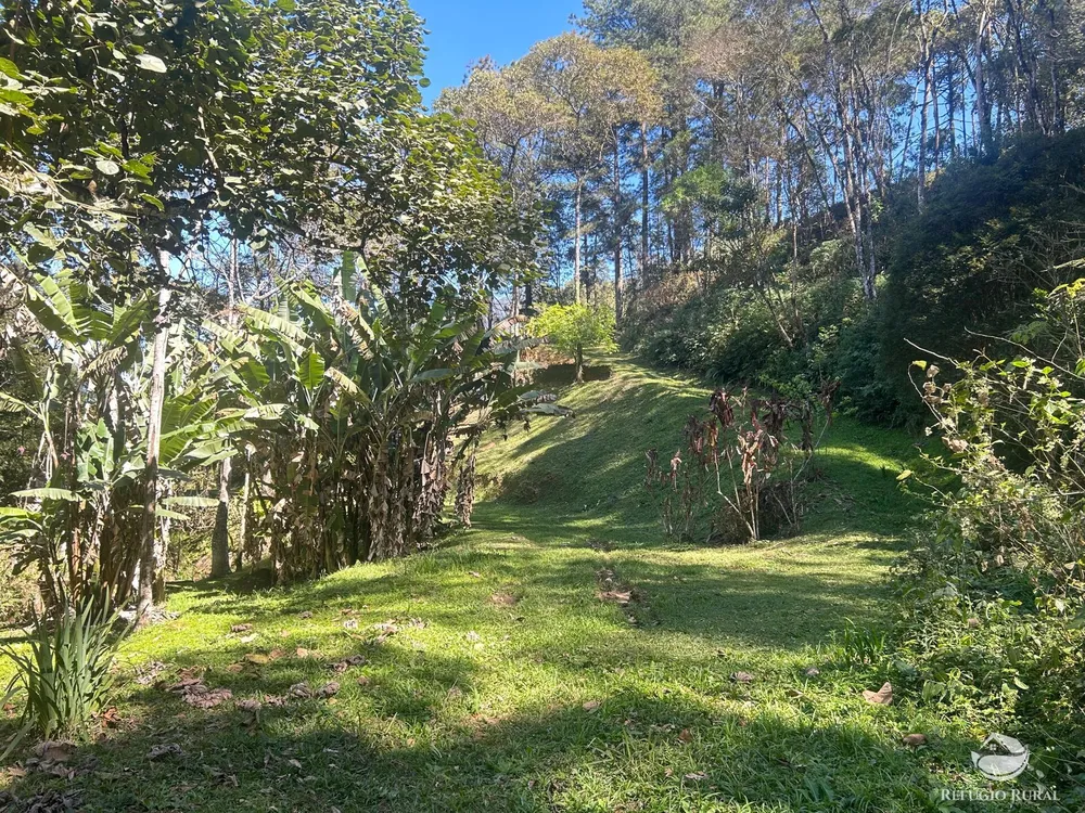 Sítio, 3 hectares - Foto 7