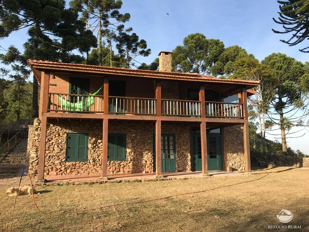 Sítio à venda com 3 quartos, 180000m² - Foto 4