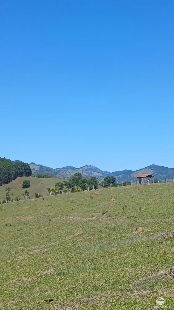 Terreno, 5000 m² - Foto 10