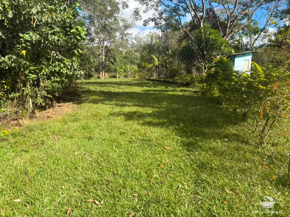 Sítio, 11 hectares - Foto 4