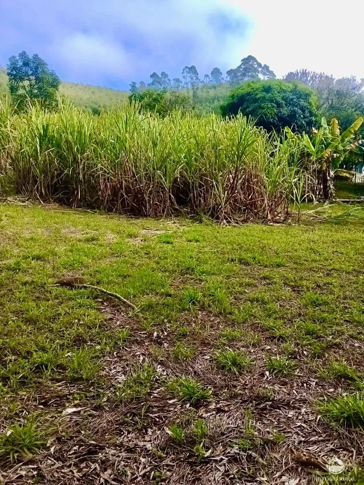 Sítio, 8 hectares - Foto 10