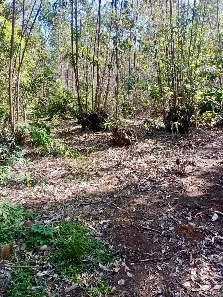 Sítio, 8 hectares - Foto 13