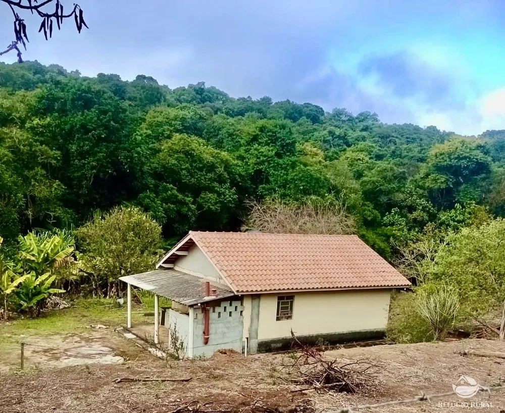 Sítio, 8 hectares - Foto 1