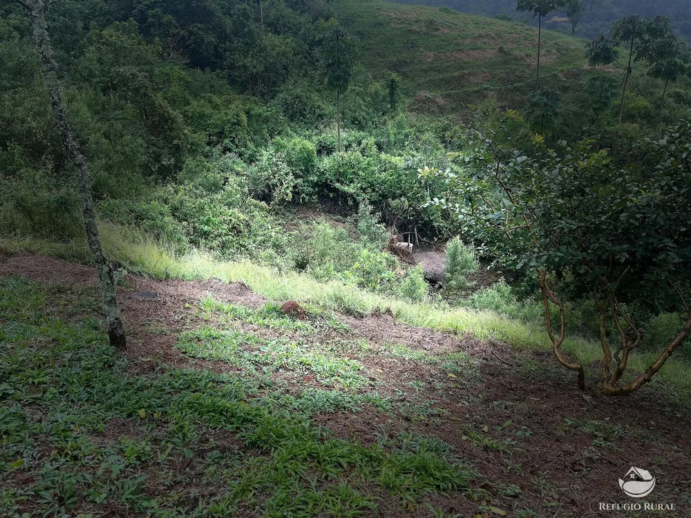 Chácara, 2 hectares - Foto 15