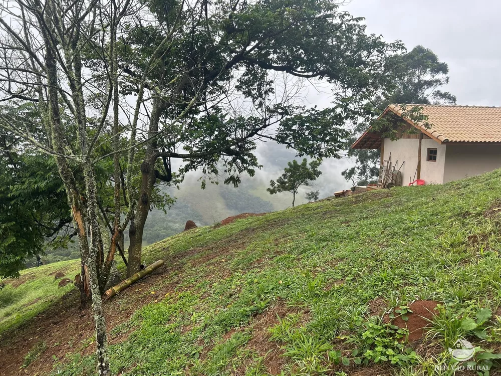 Chácara, 2 hectares - Foto 3