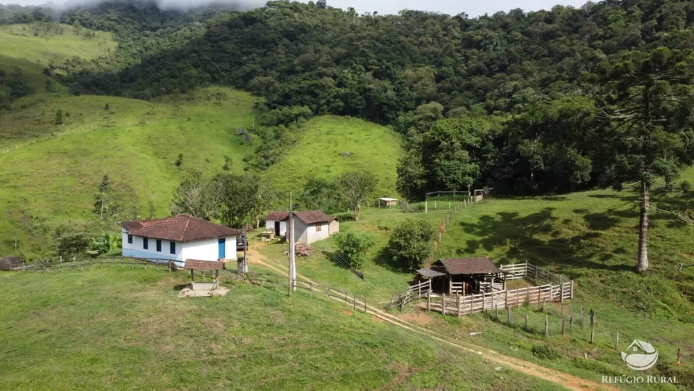 Sítio, 14 hectares - Foto 20