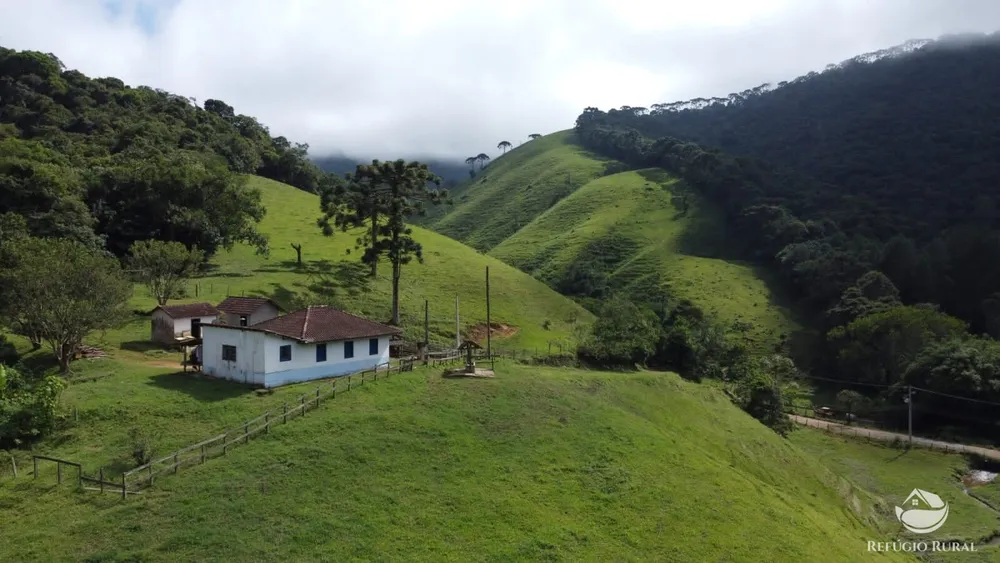 Sítio, 14 hectares - Foto 16
