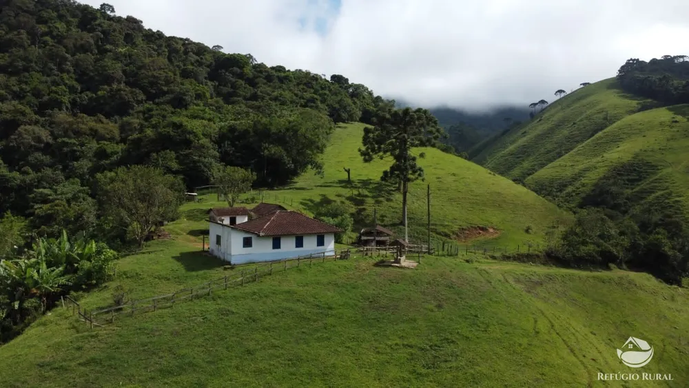Sítio, 14 hectares - Foto 17