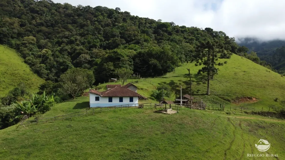 Sítio, 14 hectares - Foto 19