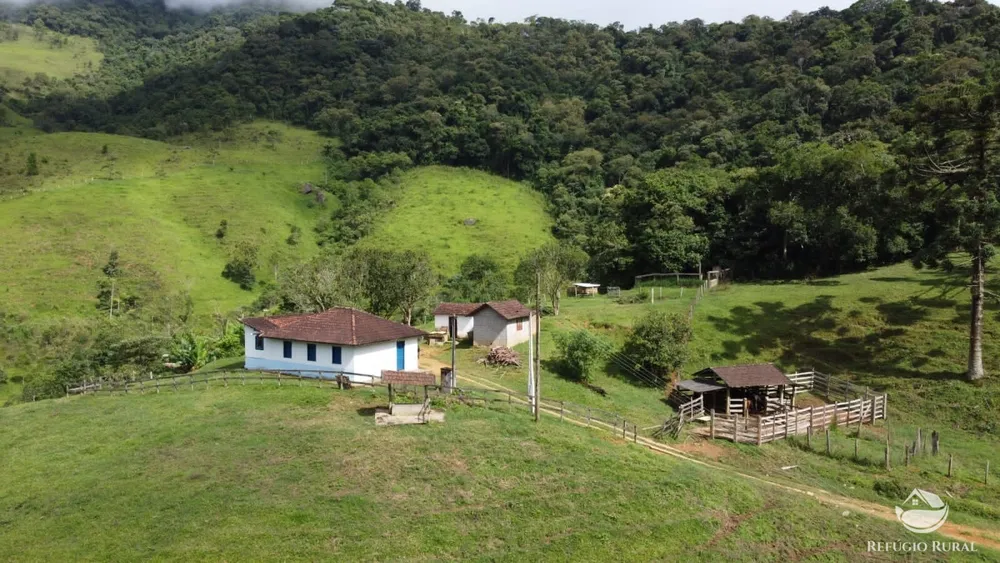 Sítio, 14 hectares - Foto 14