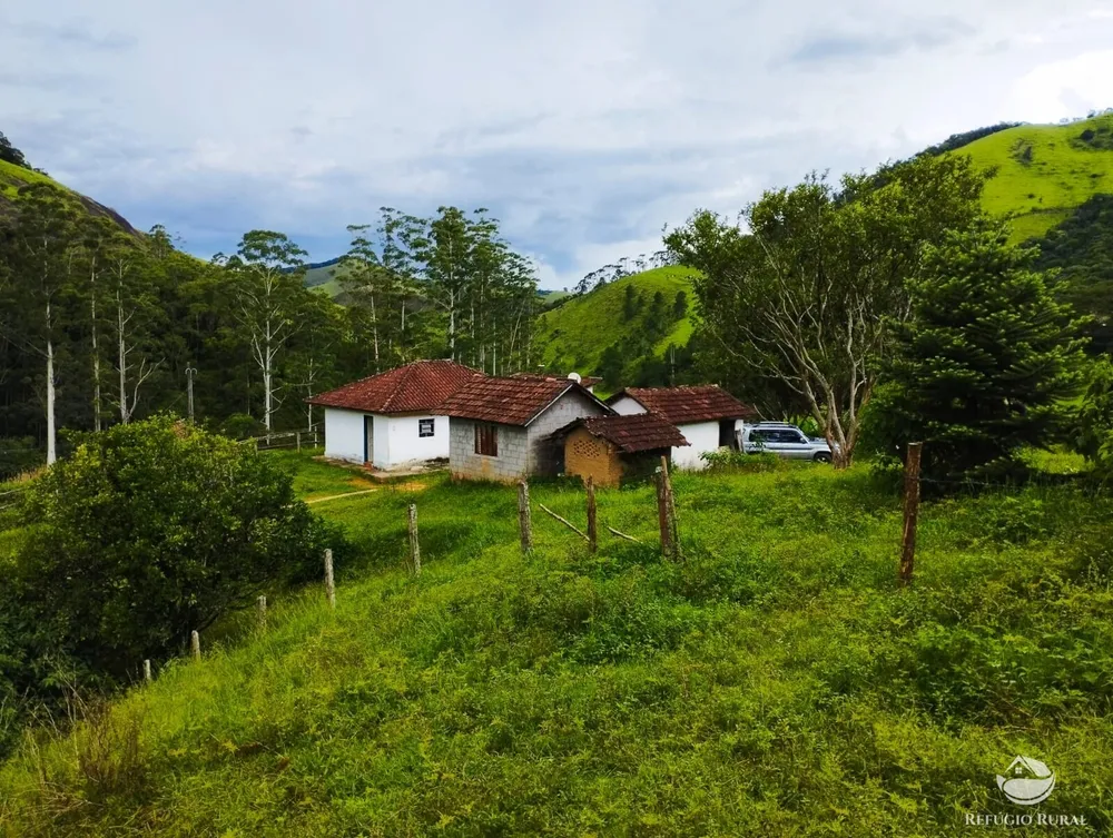 Sítio, 14 hectares - Foto 13