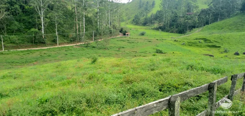 Sítio, 14 hectares - Foto 8