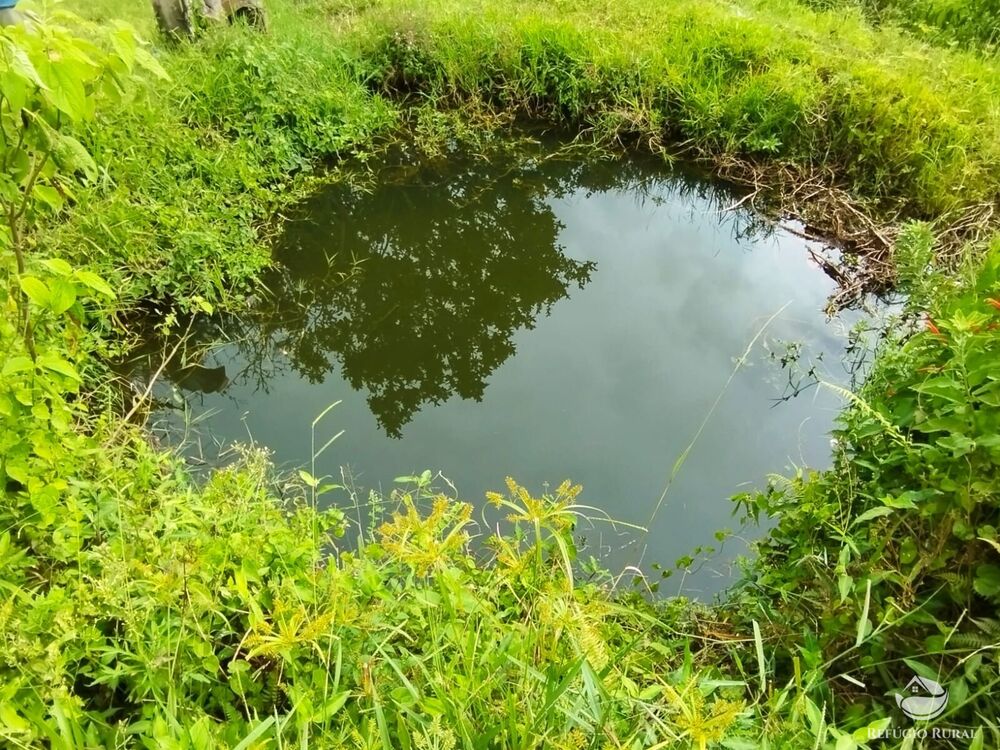 Sítio, 1 quarto, 14 hectares - Foto 1