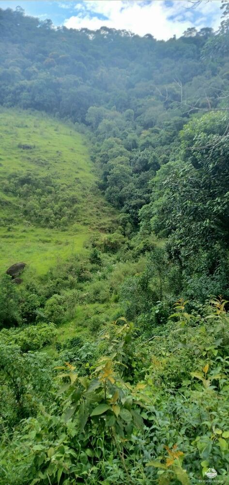 Sítio, 1 quarto, 14 hectares - Foto 7