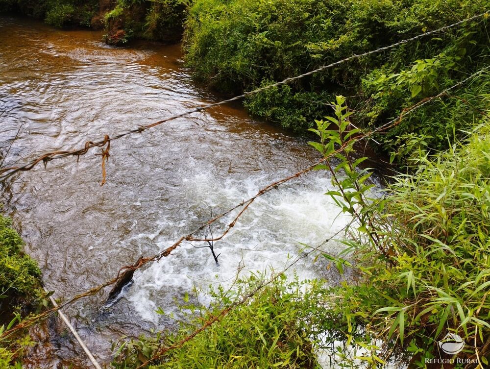 Sítio, 1 quarto, 14 hectares - Foto 3