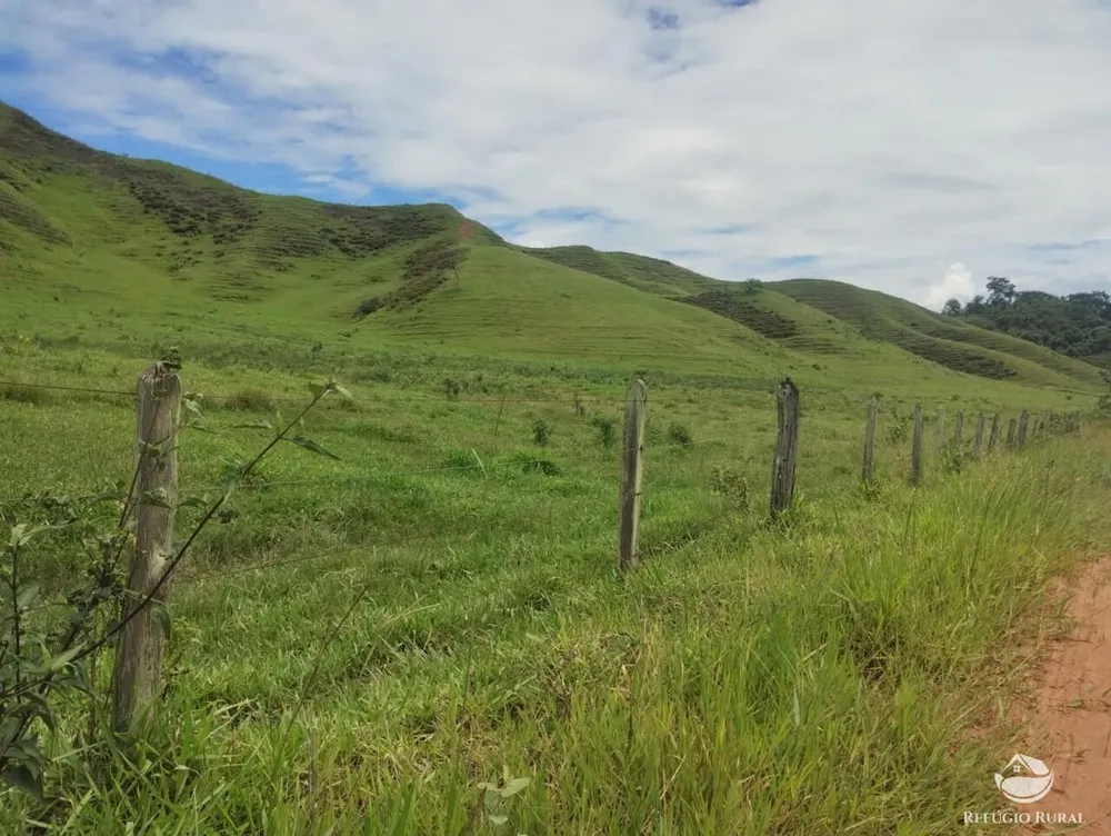 Fazenda, 605 hectares - Foto 7
