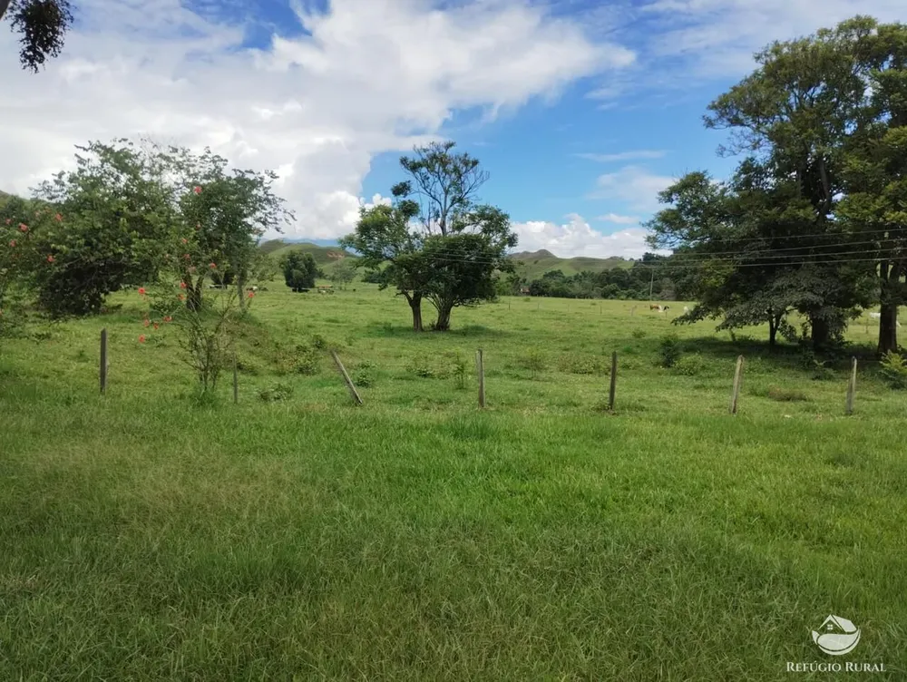 Fazenda, 605 hectares - Foto 9