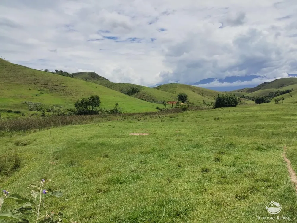 Fazenda, 605 hectares - Foto 3