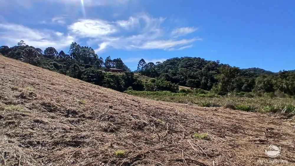 Chácara, 2 hectares - Foto 8