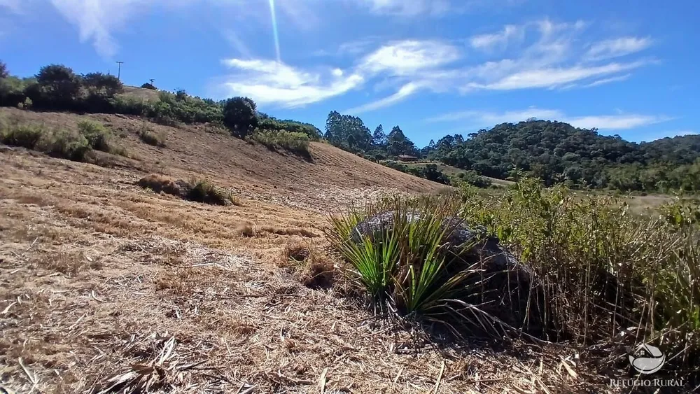 Chácara, 2 hectares - Foto 7