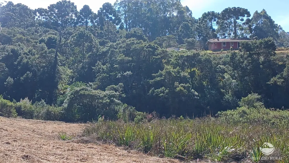 Chácara, 2 hectares - Foto 10