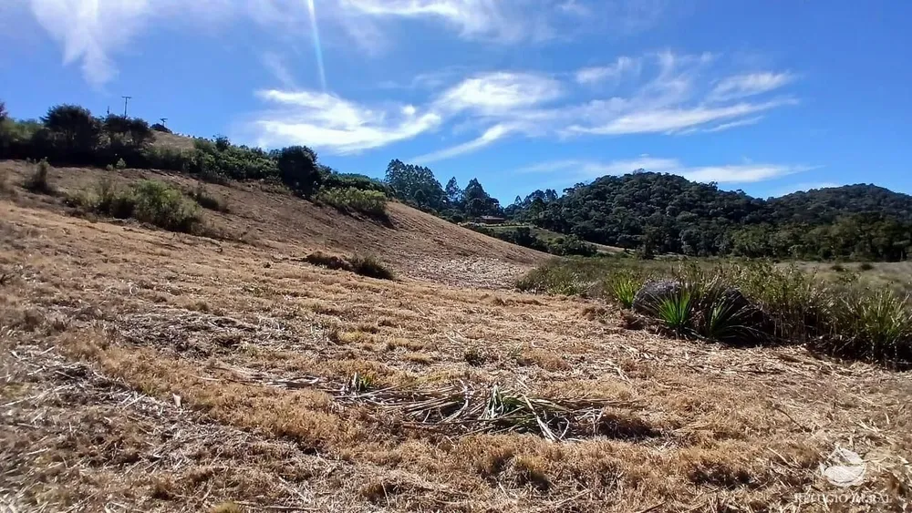 Chácara, 2 hectares - Foto 1