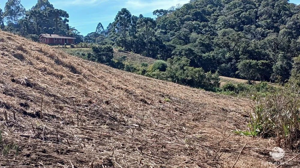 Chácara, 2 hectares - Foto 3