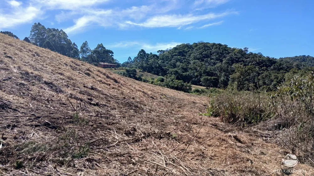 Chácara, 2 hectares - Foto 6